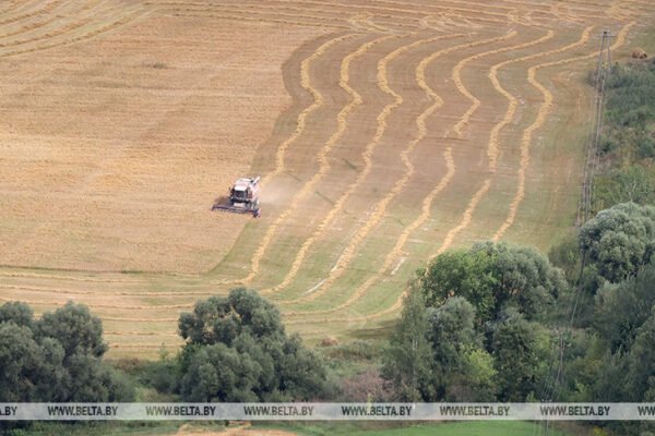 Мобілізувати всіх: Лукашенко заявив про необхідність “підняти всіх” на збір урожаю