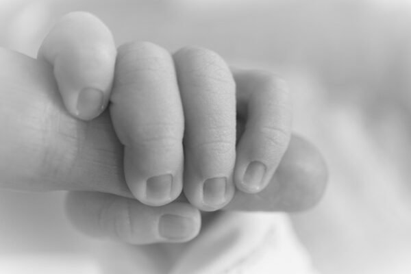 У Запоріжжі на будівництві знайшли тіла двох немовлят