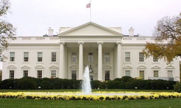 У Білому домі відреагували на ймовірні переговори Маска з путіним