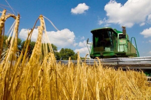 Продовольча безпека: Українські аграрії зібрали більшу частину врожаю зернових