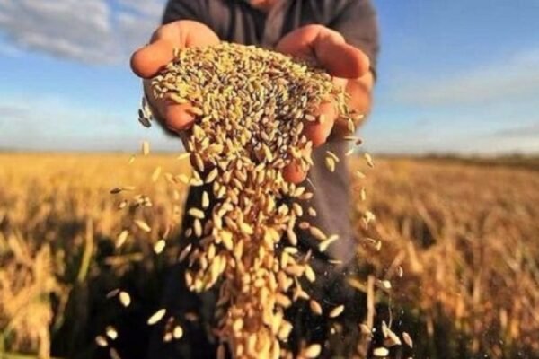 Рада ухвалила проект Держбютджету-2023 у першому читанні: Що передбачено для аграріїв