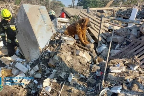 В Дніпрі ракета влучила в приватний будинок: Вижив лише пес