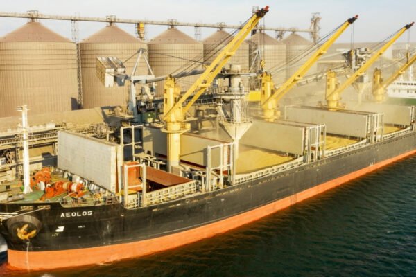 Спустошують елеватори на Луганщині: Окупанти знову крадуть українське зерно