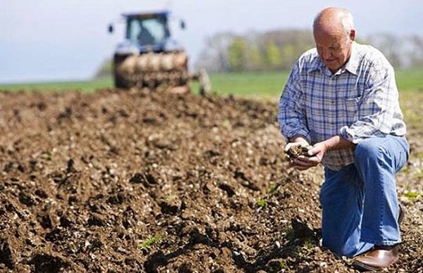 Удар по чесних експортерах: Аграрії розкритикували законопроект про валютний контроль