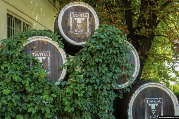 Викрали продукцію та демонтували виробництво: У Новій Каховці окупанти пограбували завод із виробництва коньяку