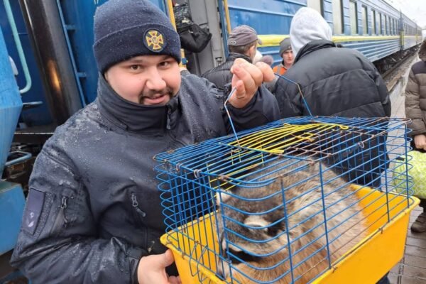 Це не вкрадений єнот: Світлина рятувальника з пухнастиком у клітці розбурхала соцмережі