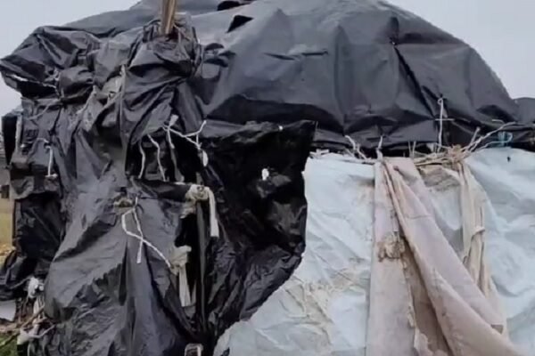 На Харківщині діти збудували просто неба намет біля єдиного місця у селі, де є інтернет (ВІДЕО)