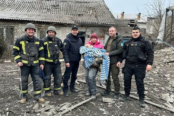 З-під завалів зруйнованої аптеки у Куп’янську врятували собаку (ФОТО)