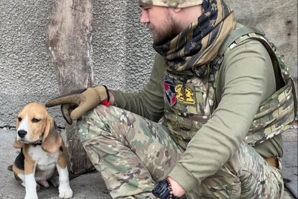 У Гуляйполі військовий шукає свого зниклого собаку (ФОТО)