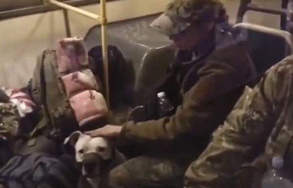 Разом з полоненими в Україну повернули легендарного собаку з “Азовсталі” (ФОТО)