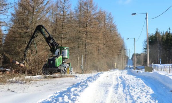 Фінляндія почала будувати огорожу на кордоні з РФ