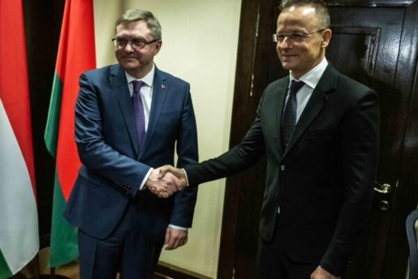 Малеча, яка живе у паралельному світі: Резніков прокоментував візит голови МЗС Угорщини до Мінська