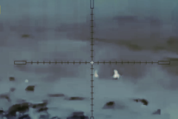 Як снайпери СБУ ліквідували партію російських окупантів (ВІДЕО)