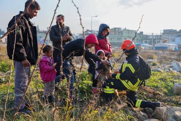 У ДСНС показали українських песиків, які шукали людей після землетрусу у Туреччині (ФОТО)