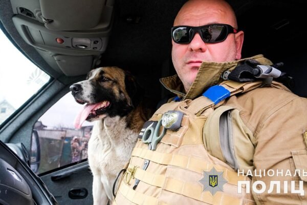 Як “Білі янголи” врятували чотирилапого із Красногорівки