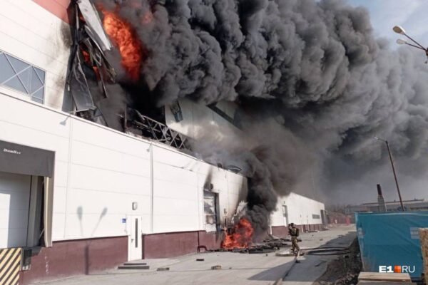 Чергова масштабна пожежа на болотах: В Свердловській області палає 3000 “квадратів” заводу (ВІДЕО)