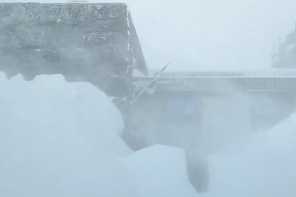 У Карпатах своя весна: На горі Піп Іван вирує хуртовина (ВІДЕО)