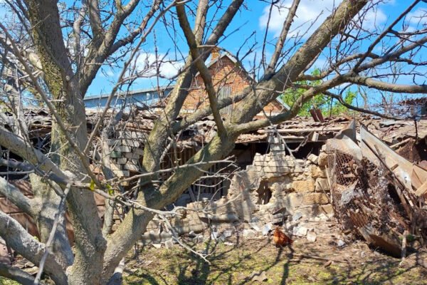 Росіяни минулої доби майже 50 разів обстріляли територію Херсонщини: 14 постраждалих