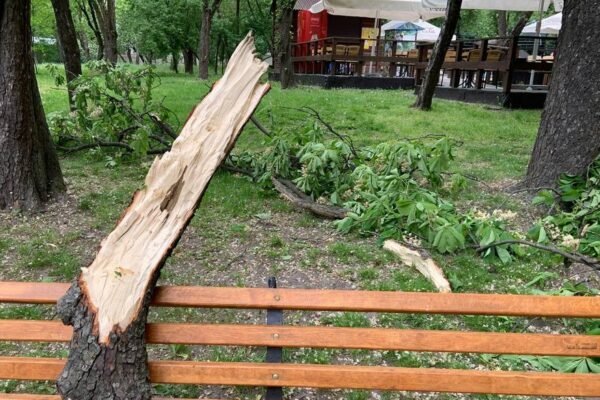 Ракетна атака на Київ: Уламки впали на територію зоопарку, тварин виводитимуть зі стресу (ВІДЕО)