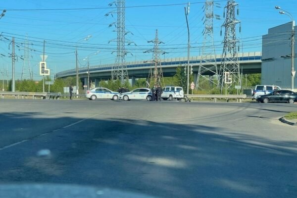 У Підмосков’ї невідомі замінували ЛЕП