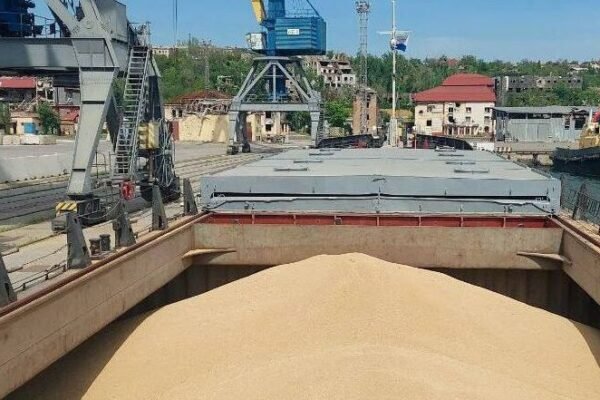 Росіяни вкрали вже понад 4 мільйони тонн українського зерна