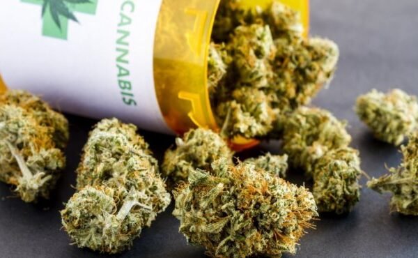 Зеленський підтримав легалізацію медичного канабісу в Україні