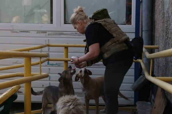 З підтоплених територій евакуювали вже 1995 осіб, з них 103 дитини, – ДСНС