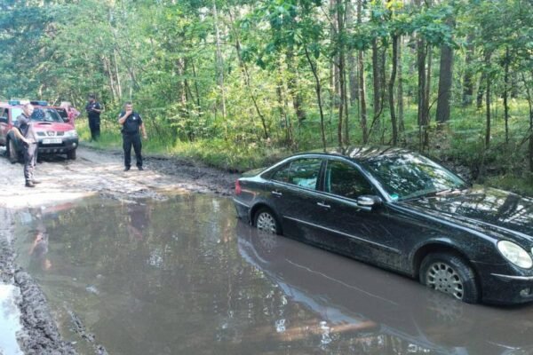 Німця, що заблукав у лісах Рівненщини, розшукали за допомогою дрона