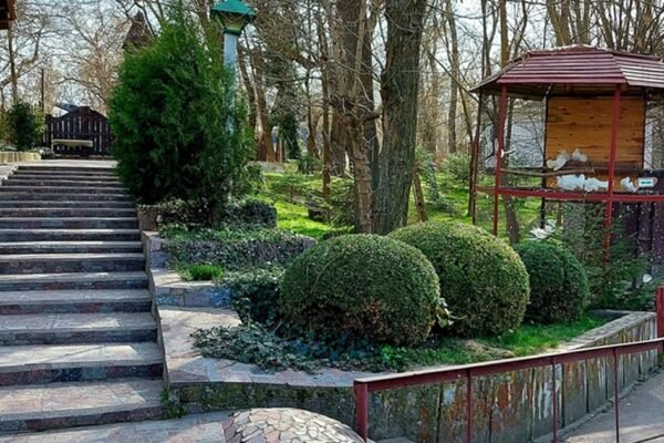 Сталося диво: Частину тварин у “Казковій діброві” вдалося врятувати