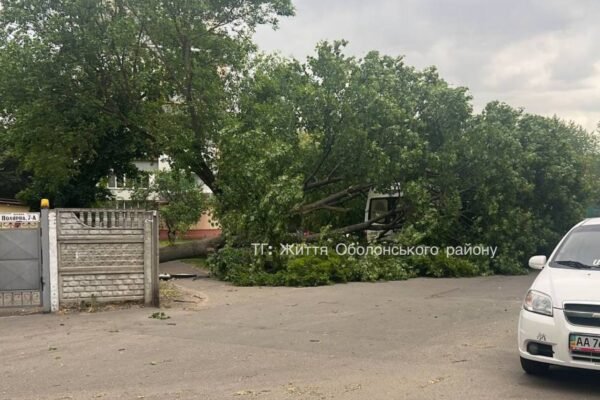 У Києві буревій накрив Оболонь: Подекуди повалені дерева (ВІДЕО)