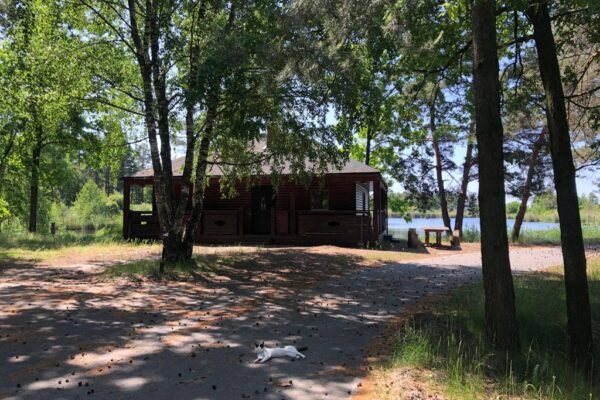 Суд наклав арешт на земельні ділянки Марченко на понад 300 мільйонів гривень (ФОТО)