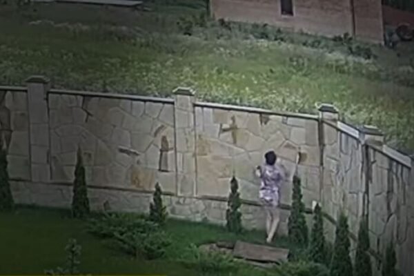 Торгівля дозволами на виїзд за кордон: НАБУ показало, як нардепка намагалася викинути хабар через паркан (ВІДЕО)