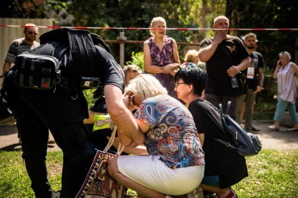 Начальник Дніпропетровської ОВА повідомив про загибель 10-річної дитини в Кривому Розі