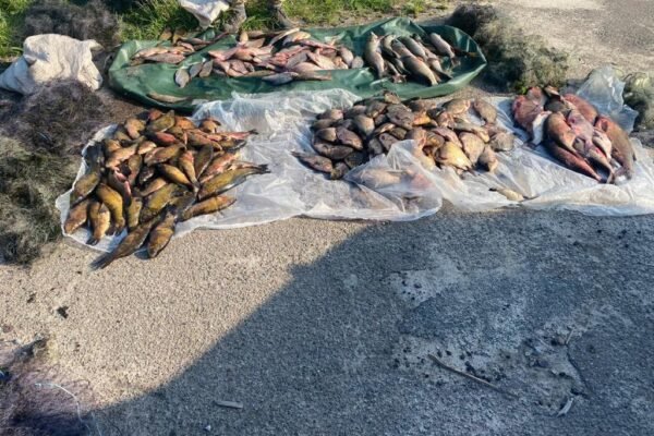 На Чернігівщині затримали браконьєрів з уловом на півмільйона гривень (ФОТО)