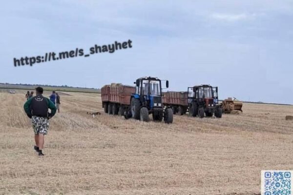 На Миколаївщині двоє трактористів підірвалися на снаряді: один загинув