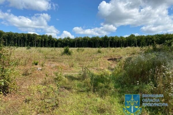 Керівник міжрегіонального лісгоспу на Вінниччині дозволив незаконні вирубки на понад 50 млн грн