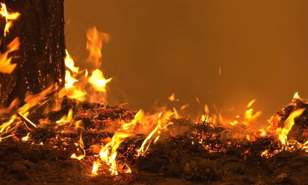 У Чернігівській області спалили церкву Московського патріархату