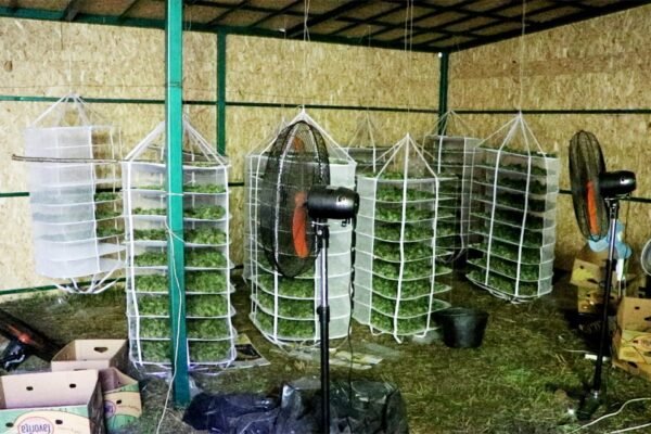 Групу наркоторгівців затримали у Чернігівській області (ФОТО)