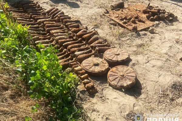Під час копання картоплі жителька Житомира натрапила на цілий арсенал часів Другої світової