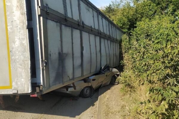 На Київщині фура з тваринами розчавила легковик: Є загиблий (ФОТО, ВІДЕО)