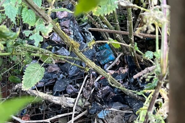 Прикордонники збили три ворожі БпЛА на Харківщині