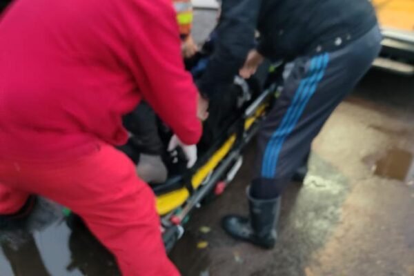 Всю ніч у лісах Львівщини шукали літнього грибника