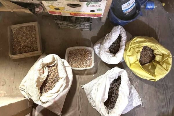 У жителя Рівненщини під час обшуку знайшли мішки з бурштином