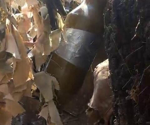 Дрони, що намагалися атакувати позиції прикордонників, заплуталися в маскувальній сітці (ВІДЕО)