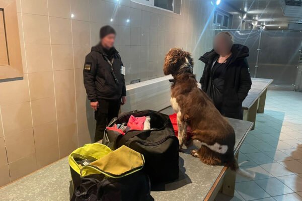 Службовий собака винюхав наркотики в багажі громадянки Чехії, що їхала у Запоріжжя
