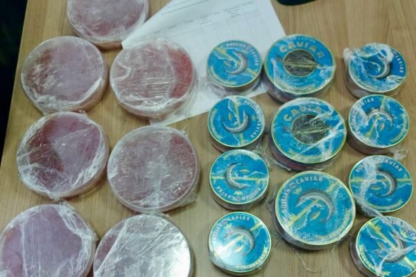Українка намагалася провезти через кордон 7,5 кг червоної та чорної ікри (ФОТО)