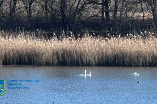 На Дніпропетровщині в недобросовісного орендаря відібрали водосховище та передали користування громади