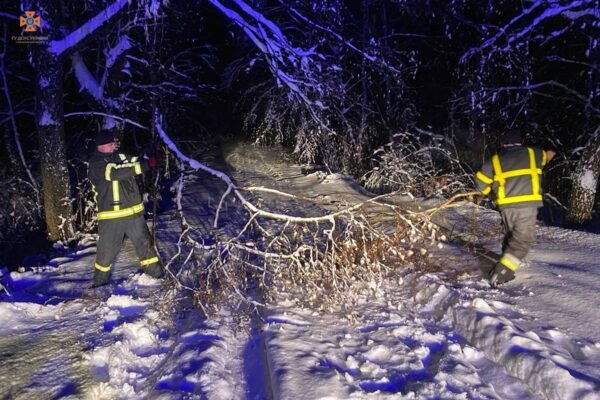 На Львівщині та Закарпатті вирує негода: Рятувальники витягли майже 10 фур та розпиляли 50 повалених дерев (ФОТО)