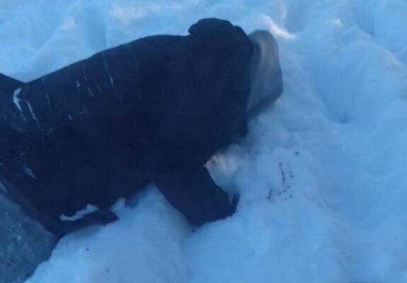 Ліквідація Киви: В мережі з’явилися унікальні кадри з місця спецоперації СБУ (ФОТО, ВІДЕО)