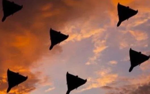 В ніч на 12 грудня на Півдні України збили 5 “шахедів”. Є влучання в спортивний об’єкт на Одещині